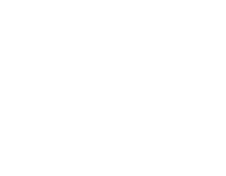 AH Logo 2 White.png